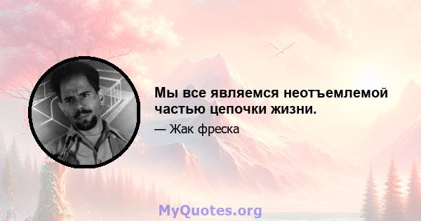 Мы все являемся неотъемлемой частью цепочки жизни.