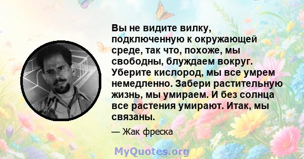 Вы не видите вилку, подключенную к окружающей среде, так что, похоже, мы свободны, блуждаем вокруг. Уберите кислород, мы все умрем немедленно. Забери растительную жизнь, мы умираем. И без солнца все растения умирают.