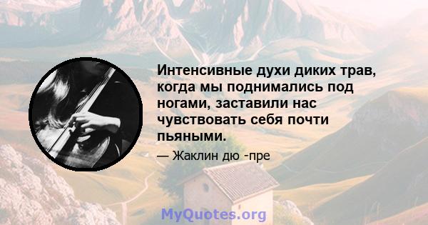 Интенсивные духи диких трав, когда мы поднимались под ногами, заставили нас чувствовать себя почти пьяными.