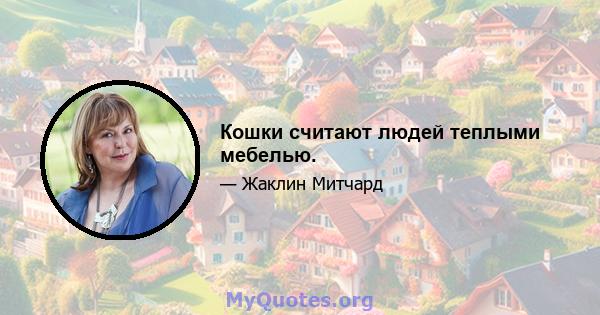 Кошки считают людей теплыми мебелью.