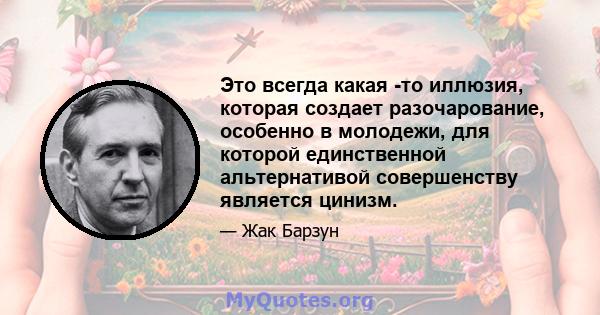 Это всегда какая -то иллюзия, которая создает разочарование, особенно в молодежи, для которой единственной альтернативой совершенству является цинизм.