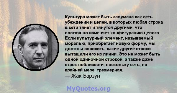 Культура может быть задумана как сеть убеждений и целей, в которых любая строка в сети тянет и тянутся другими, что постоянно изменяет конфигурацию целого. Если культурный элемент, называемый моралью, приобретает новую