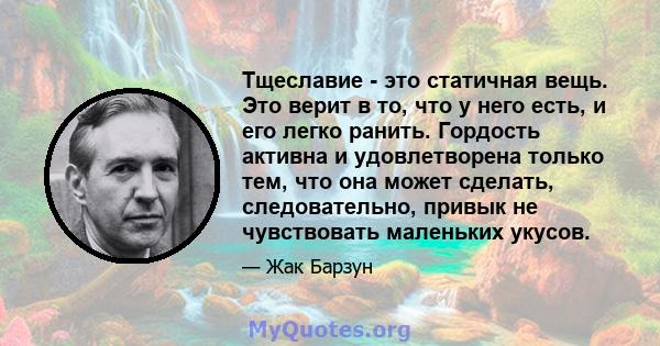 Тщеславие - это статичная вещь. Это верит в то, что у него есть, и его легко ранить. Гордость активна и удовлетворена только тем, что она может сделать, следовательно, привык не чувствовать маленьких укусов.