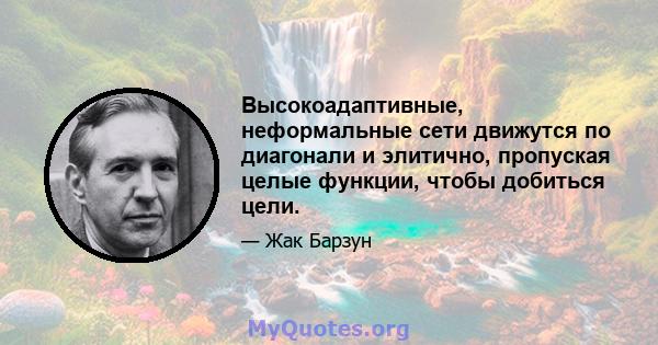 Высокоадаптивные, неформальные сети движутся по диагонали и элитично, пропуская целые функции, чтобы добиться цели.