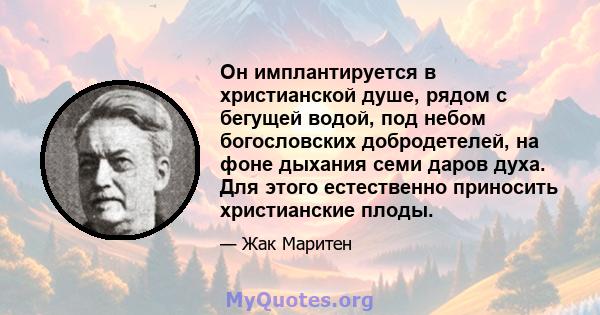 Он имплантируется в христианской душе, рядом с бегущей водой, под небом богословских добродетелей, на фоне дыхания семи даров духа. Для этого естественно приносить христианские плоды.