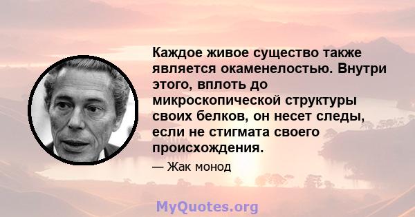 Каждое живое существо также является окаменелостью. Внутри этого, вплоть до микроскопической структуры своих белков, он несет следы, если не стигмата своего происхождения.