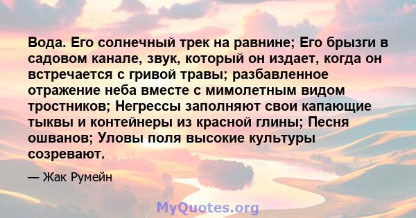 Вода. Его солнечный трек на равнине; Его брызги в садовом канале, звук, который он издает, когда он встречается с гривой травы; разбавленное отражение неба вместе с мимолетным видом тростников; Негрессы заполняют свои