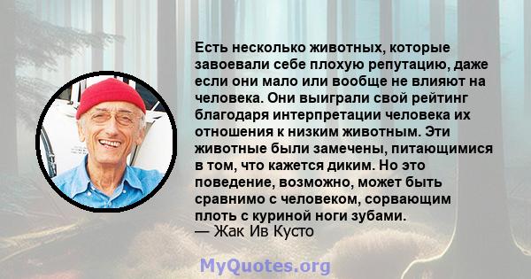 Есть несколько животных, которые завоевали себе плохую репутацию, даже если они мало или вообще не влияют на человека. Они выиграли свой рейтинг благодаря интерпретации человека их отношения к низким животным. Эти