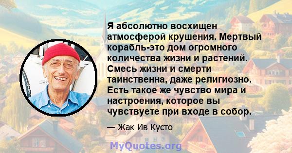 Я абсолютно восхищен атмосферой крушения. Мертвый корабль-это дом огромного количества жизни и растений. Смесь жизни и смерти таинственна, даже религиозно. Есть такое же чувство мира и настроения, которое вы чувствуете