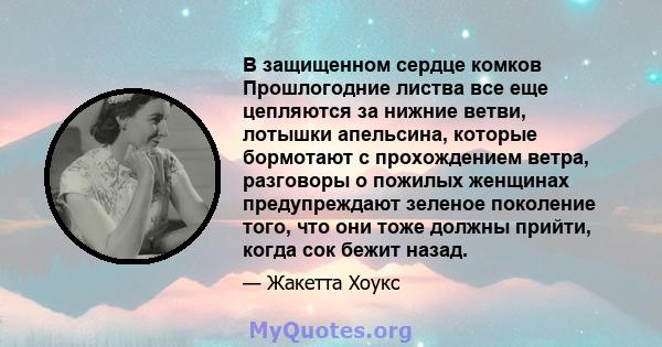 В защищенном сердце комков Прошлогодние листва все еще цепляются за нижние ветви, лотышки апельсина, которые бормотают с прохождением ветра, разговоры о пожилых женщинах предупреждают зеленое поколение того, что они