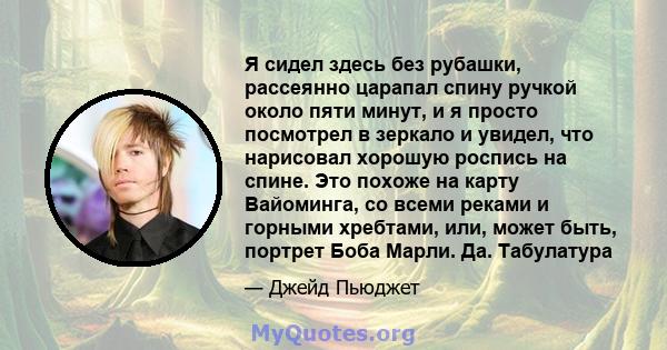 Я сидел здесь без рубашки, рассеянно царапал спину ручкой около пяти минут, и я просто посмотрел в зеркало и увидел, что нарисовал хорошую роспись на спине. Это похоже на карту Вайоминга, со всеми реками и горными