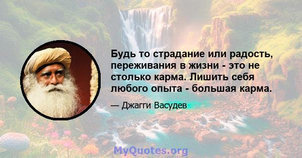 Будь то страдание или радость, переживания в жизни - это не столько карма. Лишить себя любого опыта - большая карма.