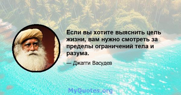 Если вы хотите выяснить цель жизни, вам нужно смотреть за пределы ограничений тела и разума.