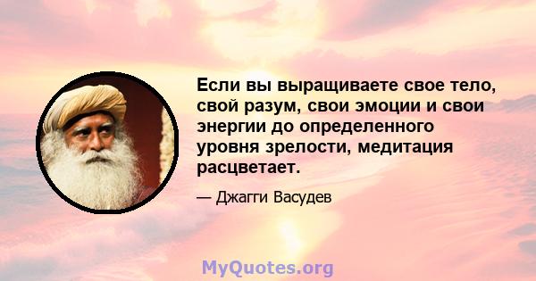 Если вы выращиваете свое тело, свой разум, свои эмоции и свои энергии до определенного уровня зрелости, медитация расцветает.