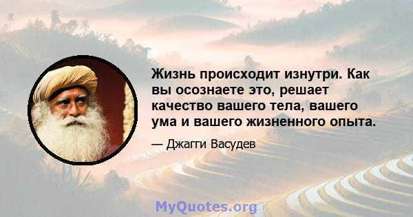 Жизнь происходит изнутри. Как вы осознаете это, решает качество вашего тела, вашего ума и вашего жизненного опыта.