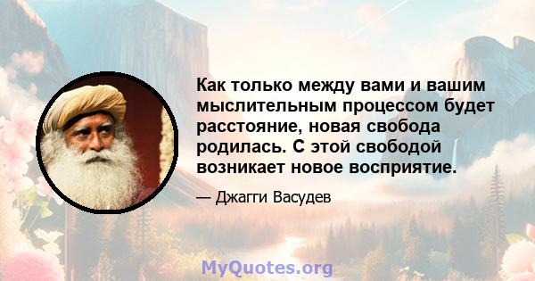 Как только между вами и вашим мыслительным процессом будет расстояние, новая свобода родилась. С этой свободой возникает новое восприятие.