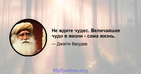 Не ждите чудес. Величайшее чудо в жизни - сама жизнь.