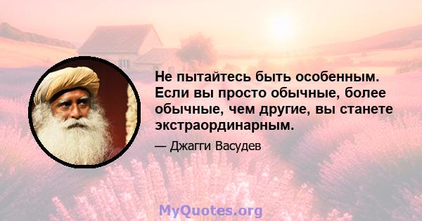 Не пытайтесь быть особенным. Если вы просто обычные, более обычные, чем другие, вы станете экстраординарным.