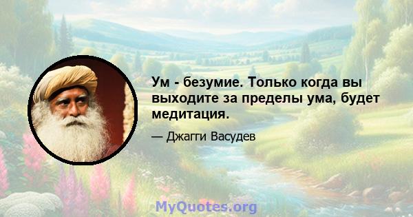 Ум - безумие. Только когда вы выходите за пределы ума, будет медитация.