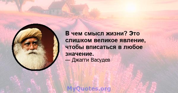 В чем смысл жизни? Это слишком великое явление, чтобы вписаться в любое значение.