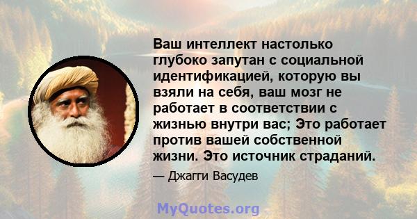 Ваш интеллект настолько глубоко запутан с социальной идентификацией, которую вы взяли на себя, ваш мозг не работает в соответствии с жизнью внутри вас; Это работает против вашей собственной жизни. Это источник страданий.