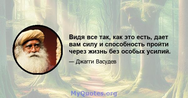 Видя все так, как это есть, дает вам силу и способность пройти через жизнь без особых усилий.