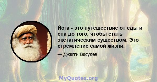 Йога - это путешествие от еды и сна до того, чтобы стать экстатическим существом. Это стремление самой жизни.