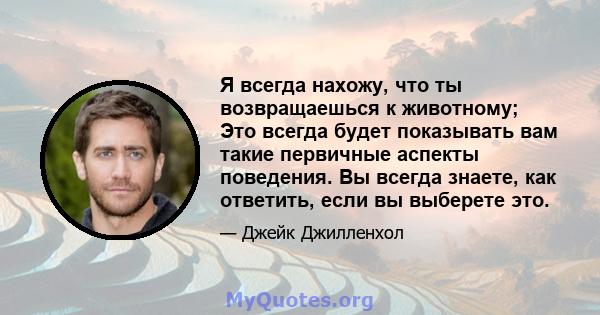 Я всегда нахожу, что ты возвращаешься к животному; Это всегда будет показывать вам такие первичные аспекты поведения. Вы всегда знаете, как ответить, если вы выберете это.