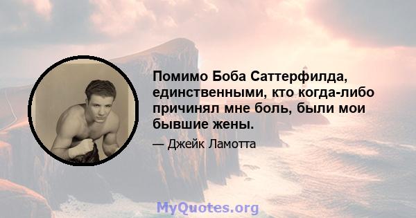 Помимо Боба Саттерфилда, единственными, кто когда-либо причинял мне боль, были мои бывшие жены.