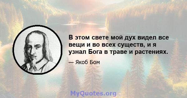 В этом свете мой дух видел все вещи и во всех существ, и я узнал Бога в траве и растениях.