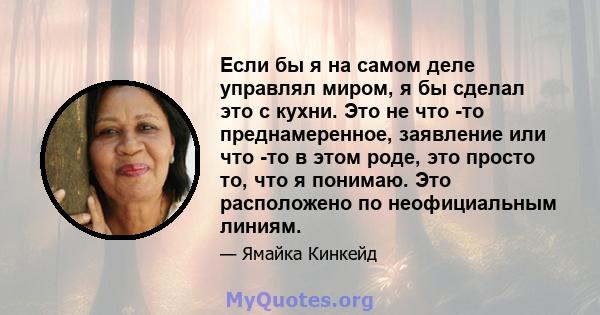 Если бы я на самом деле управлял миром, я бы сделал это с кухни. Это не что -то преднамеренное, заявление или что -то в этом роде, это просто то, что я понимаю. Это расположено по неофициальным линиям.