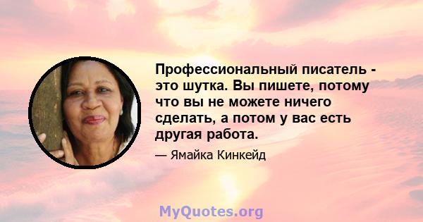 Профессиональный писатель - это шутка. Вы пишете, потому что вы не можете ничего сделать, а потом у вас есть другая работа.