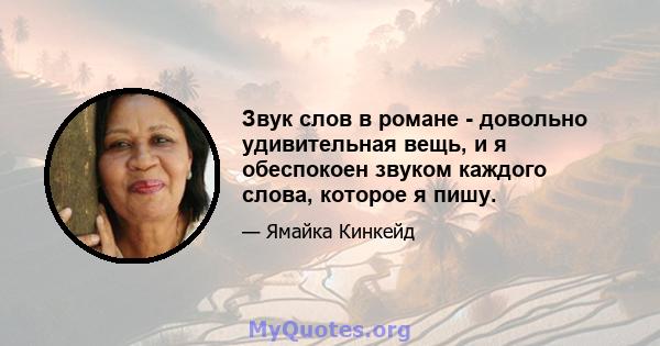 Звук слов в романе - довольно удивительная вещь, и я обеспокоен звуком каждого слова, которое я пишу.