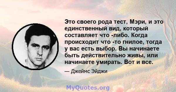 Это своего рода тест, Мэри, и это единственный вид, который составляет что -либо. Когда происходит что -то гнилое, тогда у вас есть выбор. Вы начинаете быть действительно живы, или начинаете умирать. Вот и все.