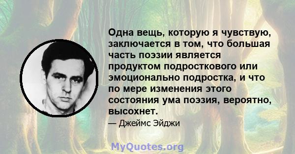 Одна вещь, которую я чувствую, заключается в том, что большая часть поэзии является продуктом подросткового или эмоционально подростка, и что по мере изменения этого состояния ума поэзия, вероятно, высохнет.