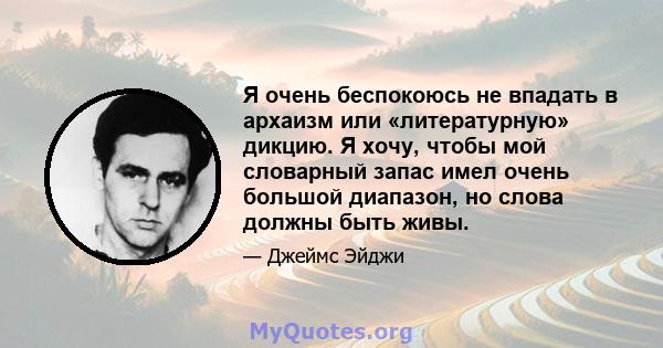 Я очень беспокоюсь не впадать в архаизм или «литературную» дикцию. Я хочу, чтобы мой словарный запас имел очень большой диапазон, но слова должны быть живы.