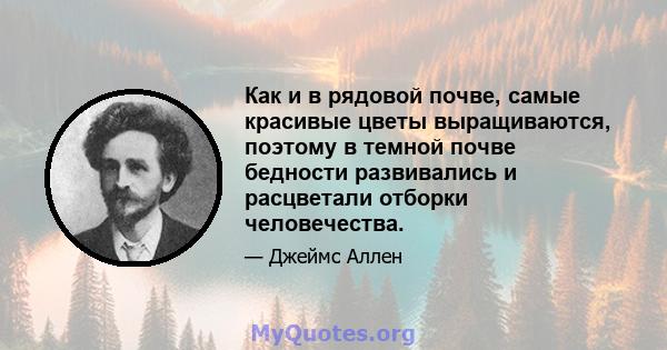 Как и в рядовой почве, самые красивые цветы выращиваются, поэтому в темной почве бедности развивались и расцветали отборки человечества.