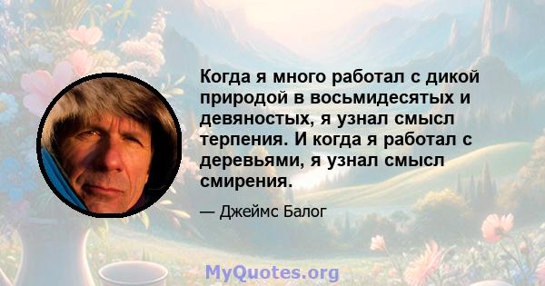 Когда я много работал с дикой природой в восьмидесятых и девяностых, я узнал смысл терпения. И когда я работал с деревьями, я узнал смысл смирения.