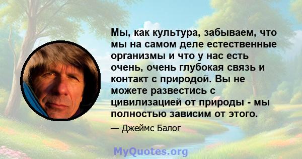 Мы, как культура, забываем, что мы на самом деле естественные организмы и что у нас есть очень, очень глубокая связь и контакт с природой. Вы не можете развестись с цивилизацией от природы - мы полностью зависим от