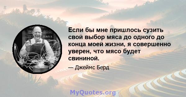 Если бы мне пришлось сузить свой выбор мяса до одного до конца моей жизни, я совершенно уверен, что мясо будет свининой.