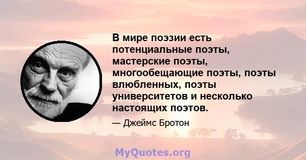 В мире поэзии есть потенциальные поэты, мастерские поэты, многообещающие поэты, поэты влюбленных, поэты университетов и несколько настоящих поэтов.