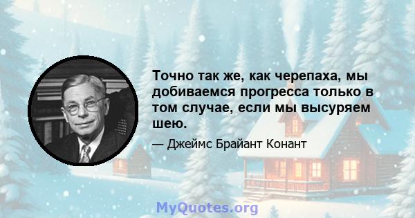 Точно так же, как черепаха, мы добиваемся прогресса только в том случае, если мы высуряем шею.