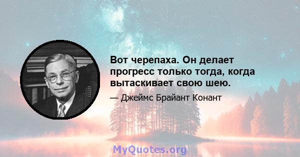 Вот черепаха. Он делает прогресс только тогда, когда вытаскивает свою шею.