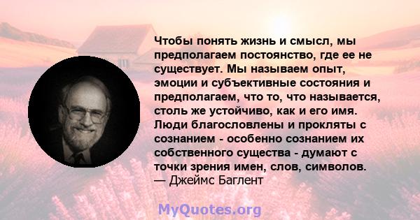 Чтобы понять жизнь и смысл, мы предполагаем постоянство, где ее не существует. Мы называем опыт, эмоции и субъективные состояния и предполагаем, что то, что называется, столь же устойчиво, как и его имя. Люди