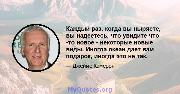 Каждый раз, когда вы ныряете, вы надеетесь, что увидите что -то новое - некоторые новые виды. Иногда океан дает вам подарок, иногда это не так.