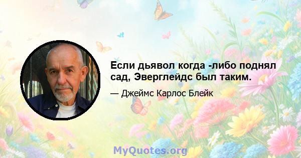 Если дьявол когда -либо поднял сад, Эверглейдс был таким.