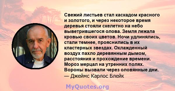 Свежий листьев стал каскадом красного и золотого, и через некоторое время деревья стояли скелетно на небо выветрившегося олова. Земля лежала кровью своих цветов. Ночи удлинялись, стали темнее, прояснились в их