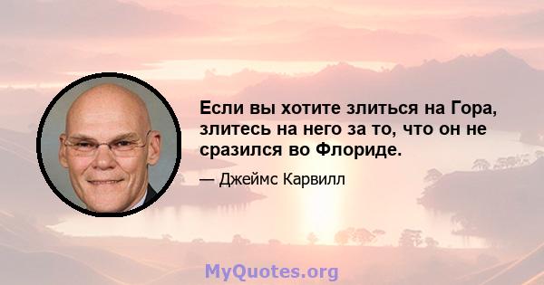 Если вы хотите злиться на Гора, злитесь на него за то, что он не сразился во Флориде.