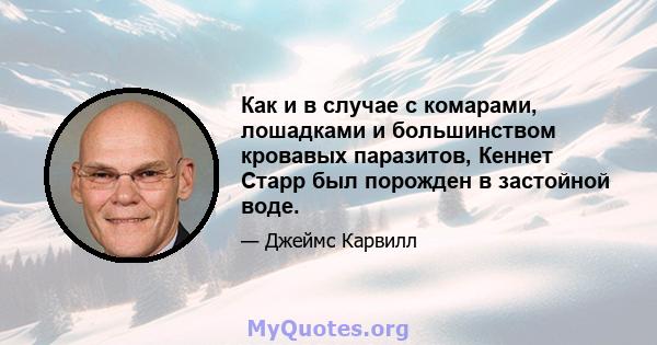 Как и в случае с комарами, лошадками и большинством кровавых паразитов, Кеннет Старр был порожден в застойной воде.