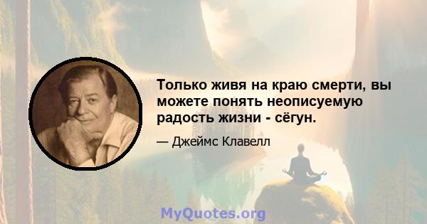 Только живя на краю смерти, вы можете понять неописуемую радость жизни - сёгун.